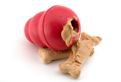 Peanut Butter Dog Treat