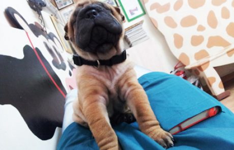 בדיקה שגרתית