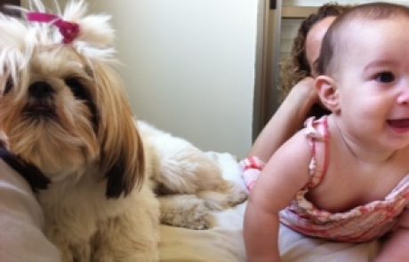 חיות מחמד, זה בריא לנו! – מאת ד"ר ענבל פלד