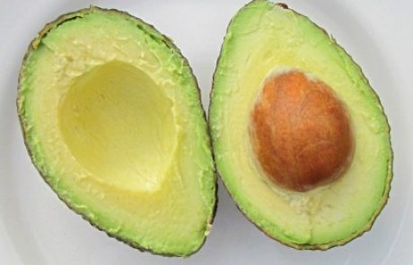 צ'ופה וגלעין האבוקדו