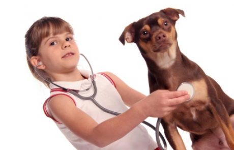ערכים מדידים לזיהוי חירום וטרינרי אצל כלבים
