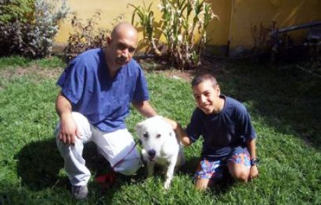 מועדון המעריצים של רוקי